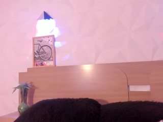 KittyVelve
