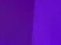 The most curious stay, others pass by.